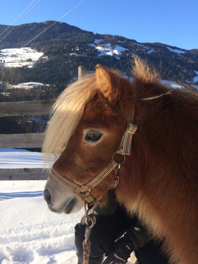 Apart.Pitztal Arzl im Pitztal Eksteriør bilde
