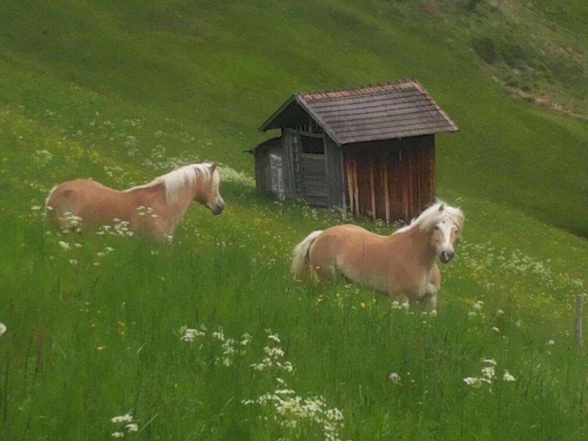 Apart.Pitztal Arzl im Pitztal Eksteriør bilde