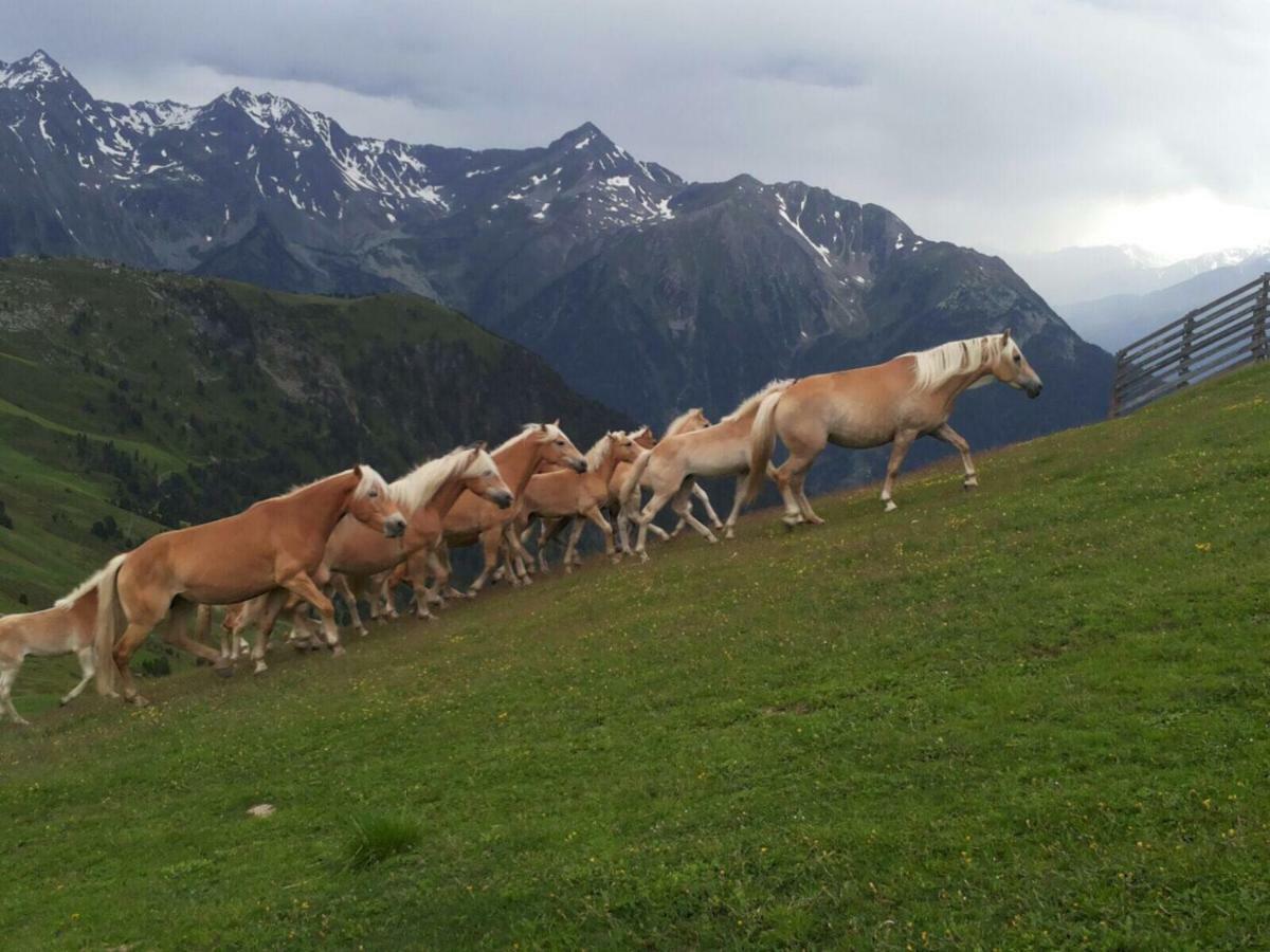 Apart.Pitztal Arzl im Pitztal Eksteriør bilde