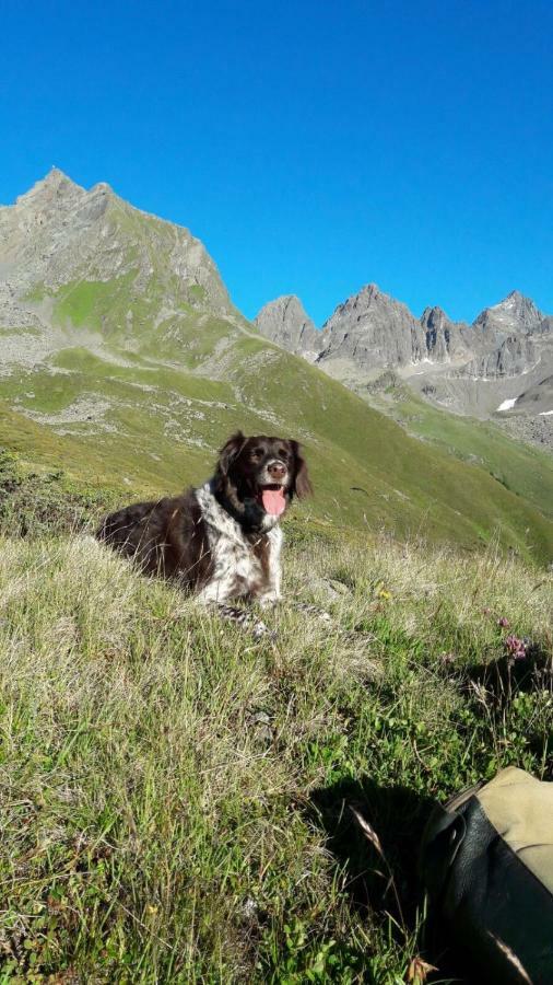 Apart.Pitztal Arzl im Pitztal Eksteriør bilde